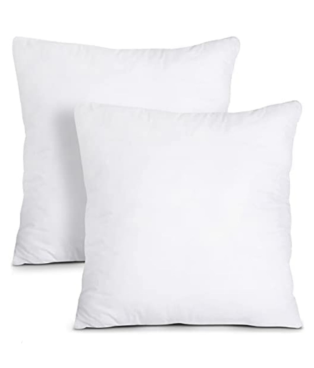 Pillow Insert (All Sizes)